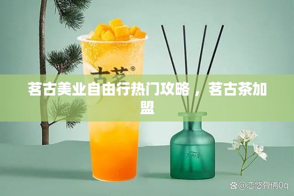 茗古美业自由行热门攻略 ，茗古茶加盟