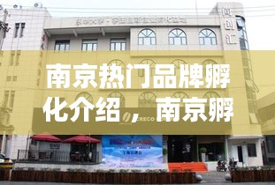 南京热门品牌孵化介绍 ，南京孵化基地