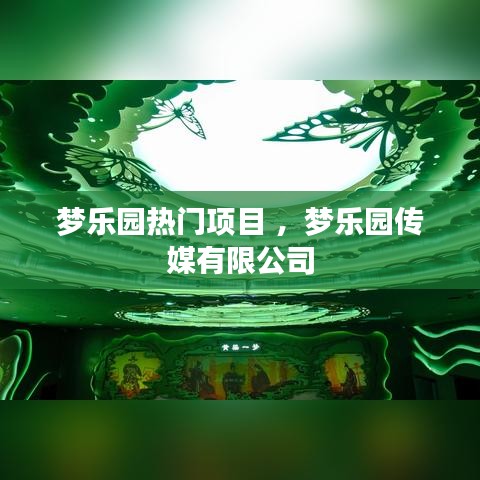 梦乐园热门项目 ，梦乐园传媒有限公司