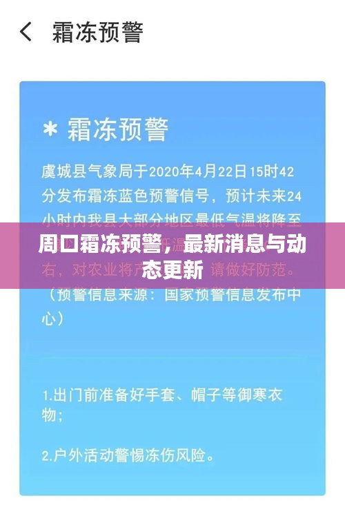 周口霜冻预警，最新消息与动态更新