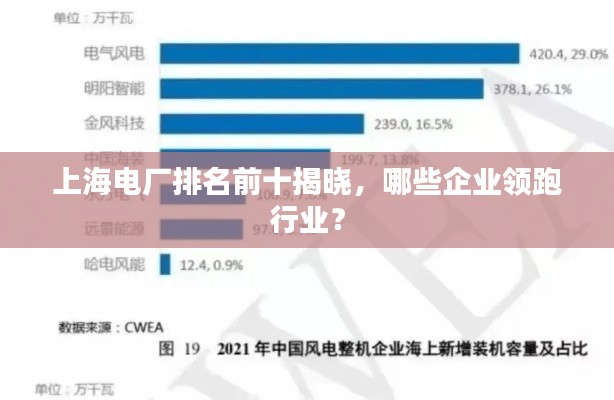 上海电厂排名前十揭晓，哪些企业领跑行业？