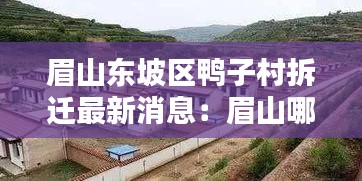 眉山东坡区鸭子村拆迁最新消息：眉山哪家鸭子好吃 