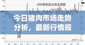 今日猪肉市场走势分析，最新行情报告来袭！