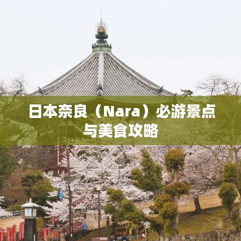 日本奈良（Nara）必游景点与美食攻略