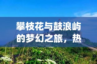 攀枝花与鼓浪屿的梦幻之旅，热带城市与海岛风情完美攻略图