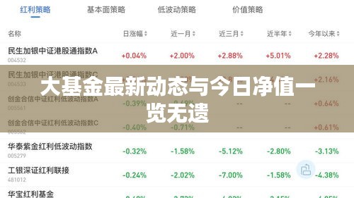 大基金最新动态与今日净值一览无遗