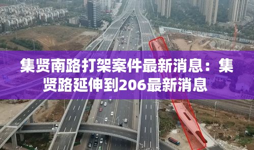 集贤南路打架案件最新消息：集贤路延伸到206最新消息 