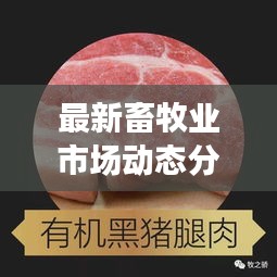 最新畜牧业市场动态分析与趋势解读