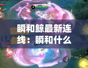 瞬和鲸最新连线：瞬和什么有关 