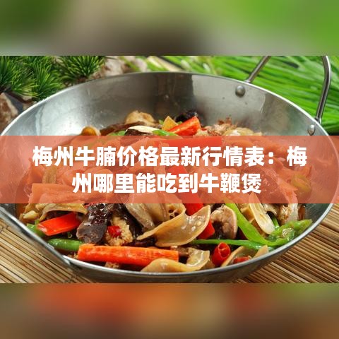 梅州牛腩价格最新行情表：梅州哪里能吃到牛鞭煲 