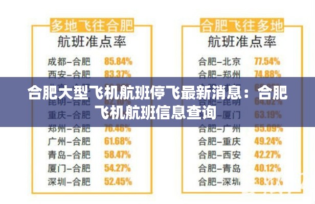 合肥大型飞机航班停飞最新消息：合肥飞机航班信息查询 