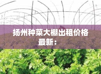 扬州种菜大棚出租价格最新： 