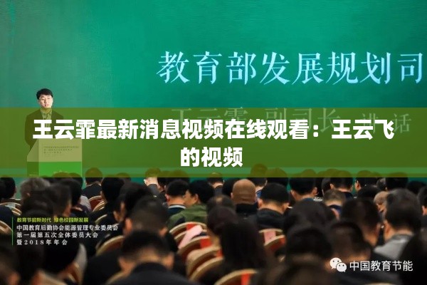 王云霏最新消息视频在线观看：王云飞的视频 