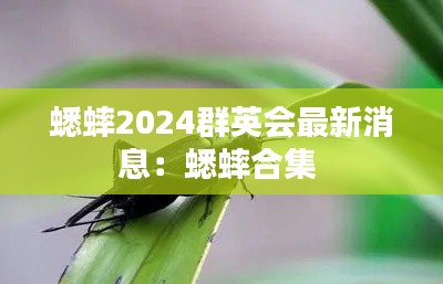 蟋蟀2024群英会最新消息：蟋蟀合集 