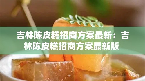 吉林陈皮糕招商方案最新：吉林陈皮糕招商方案最新版 