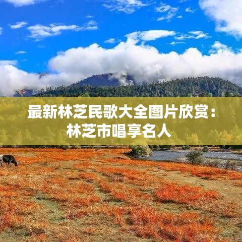 最新林芝民歌大全图片欣赏：林芝市唱享名人 