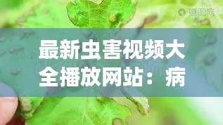 最新虫害视频大全播放网站：病虫害视频 