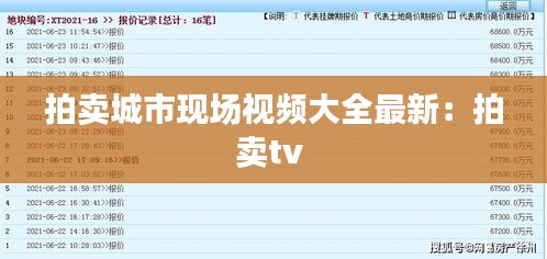 拍卖城市现场视频大全最新：拍卖tv 