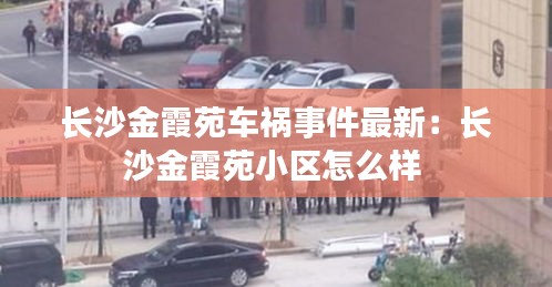 长沙金霞苑车祸事件最新：长沙金霞苑小区怎么样 