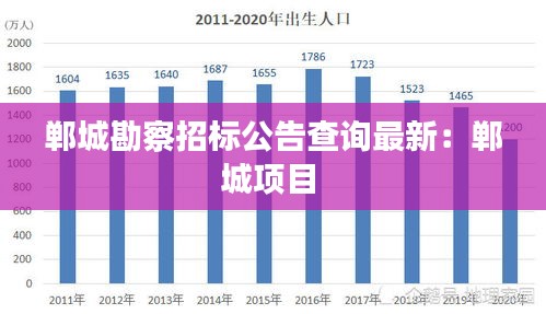 郸城勘察招标公告查询最新：郸城项目 