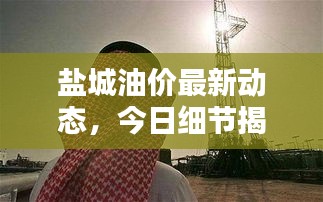 盐城油价最新动态，今日细节揭示最新油价消息