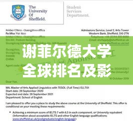 谢菲尔德大学全球排名及影响力解析，全球视角下的卓越表现