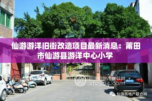 仙游游洋旧街改造项目最新消息：莆田市仙游县游洋中心小学 