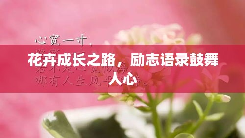 花卉成长之路，励志语录鼓舞人心