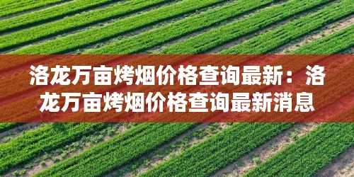 洛龙万亩烤烟价格查询最新：洛龙万亩烤烟价格查询最新消息 