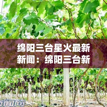 绵阳三台星火最新新闻：绵阳三台新闻网 