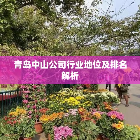 青岛中山公司行业地位及排名解析