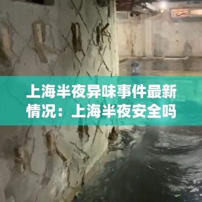 上海半夜异味事件最新情况：上海半夜安全吗 