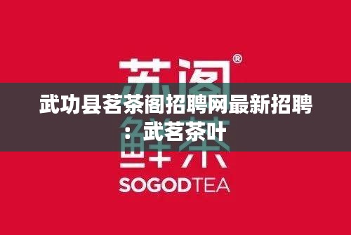 武功县茗茶阁招聘网最新招聘：武茗茶叶 