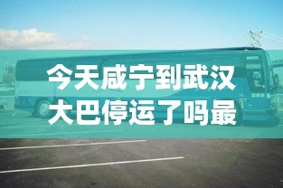 今天咸宁到武汉大巴停运了吗最新：咸宁到武汉汽车时刻表最晚几点的 