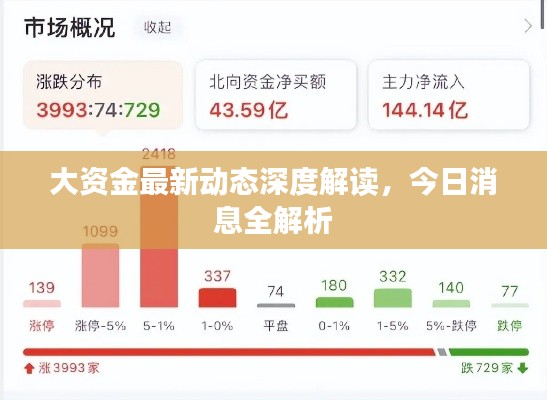 大资金最新动态深度解读，今日消息全解析