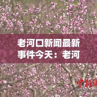 老河口新闻最新事件今天：老河口在线新闻视频 