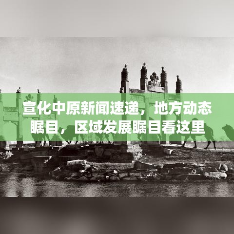 宣化中原新闻速递，地方动态瞩目，区域发展瞩目看这里