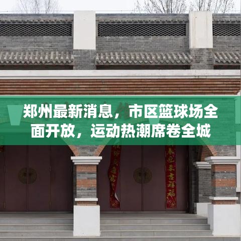 郑州最新消息，市区篮球场全面开放，运动热潮席卷全城