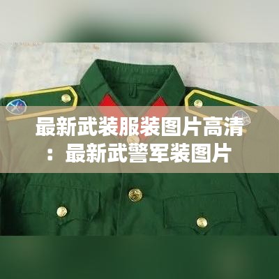 最新武装服装图片高清：最新武警军装图片 