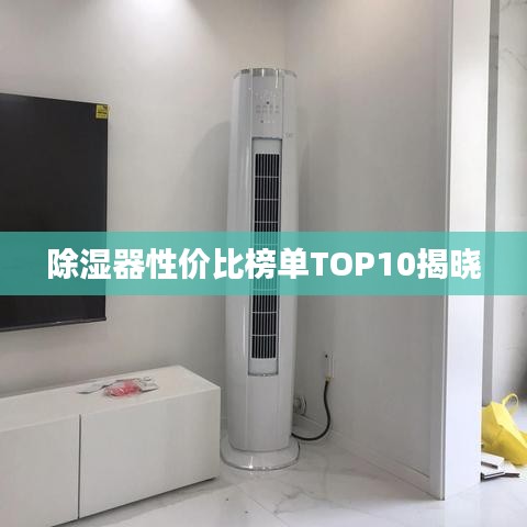 除湿器性价比榜单TOP10揭晓