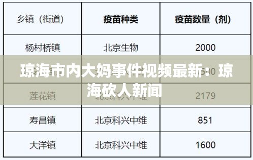 琼海市内大妈事件视频最新：琼海砍人新闻 