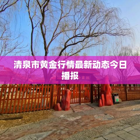 清泉市黄金行情最新动态今日播报