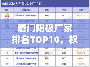 厦门阳极厂家排名TOP10，权威榜单揭晓