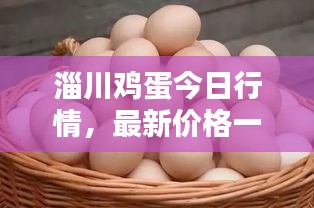 淄川鸡蛋今日行情，最新价格一网打尽