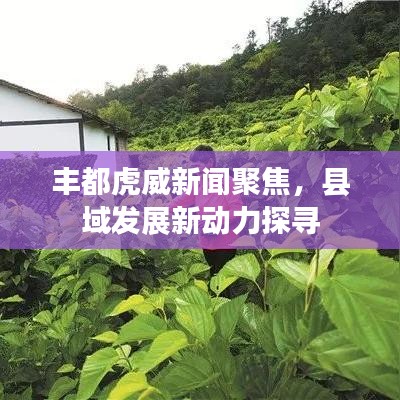 丰都虎威新闻聚焦，县域发展新动力探寻