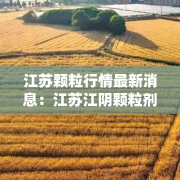 江苏颗粒行情最新消息：江苏江阴颗粒剂 