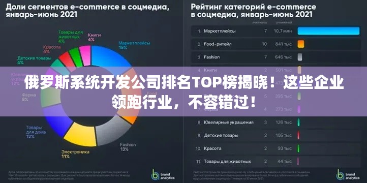 俄罗斯系统开发公司排名TOP榜揭晓！这些企业领跑行业，不容错过！