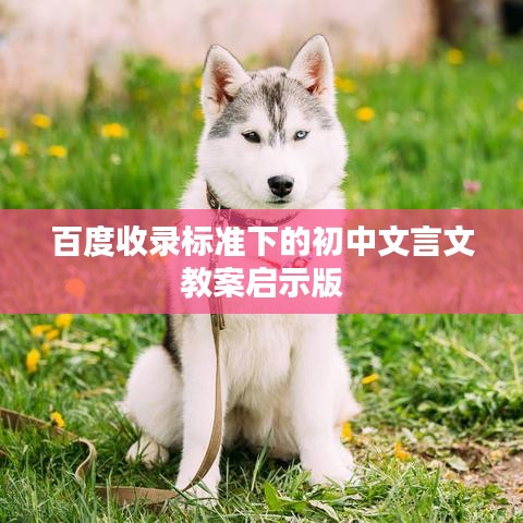 百度收录标准下的初中文言文教案启示版