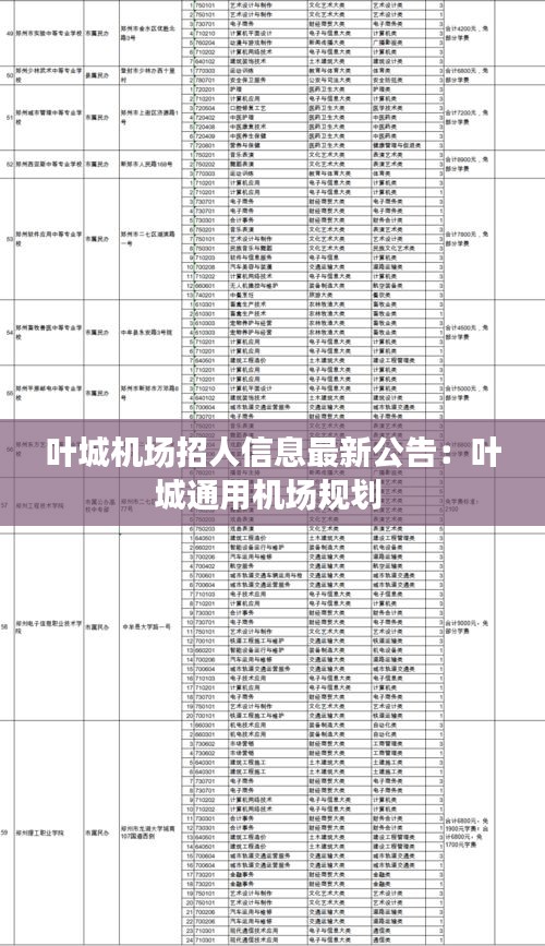 叶城机场招人信息最新公告：叶城通用机场规划 