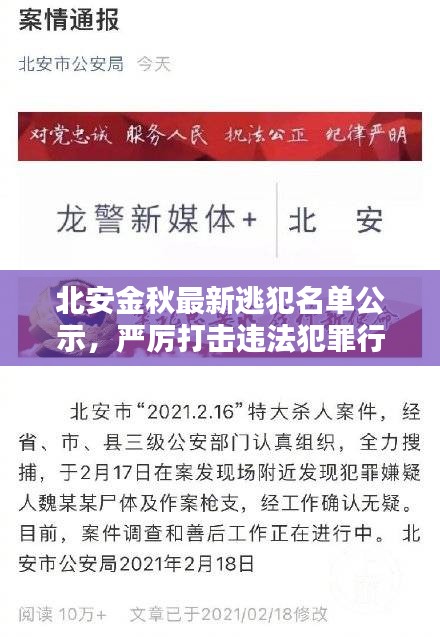 北安金秋最新逃犯名单公示，严厉打击违法犯罪行为，社会警示不容小觑